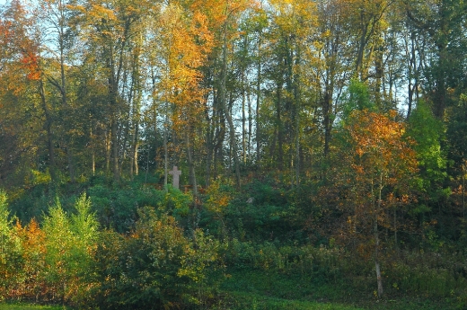 Einweihung Bestattungswald Kaiserstuhl in Endingen